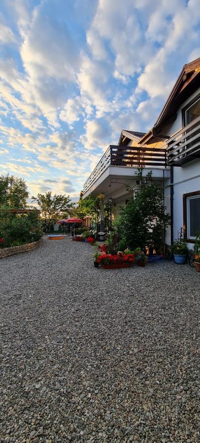 Casa Aryan Apartment Sanpetru Bagian luar foto