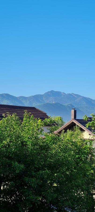 Casa Aryan Apartment Sanpetru Bagian luar foto
