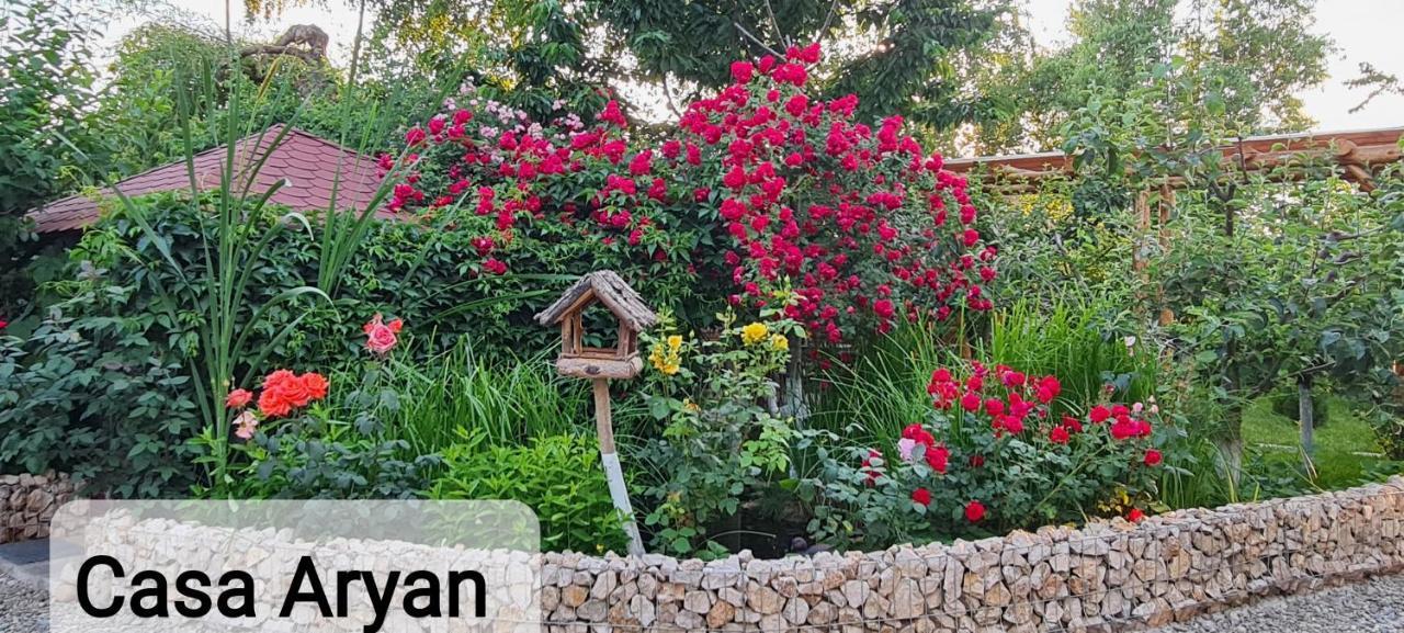 Casa Aryan Apartment Sanpetru Bagian luar foto