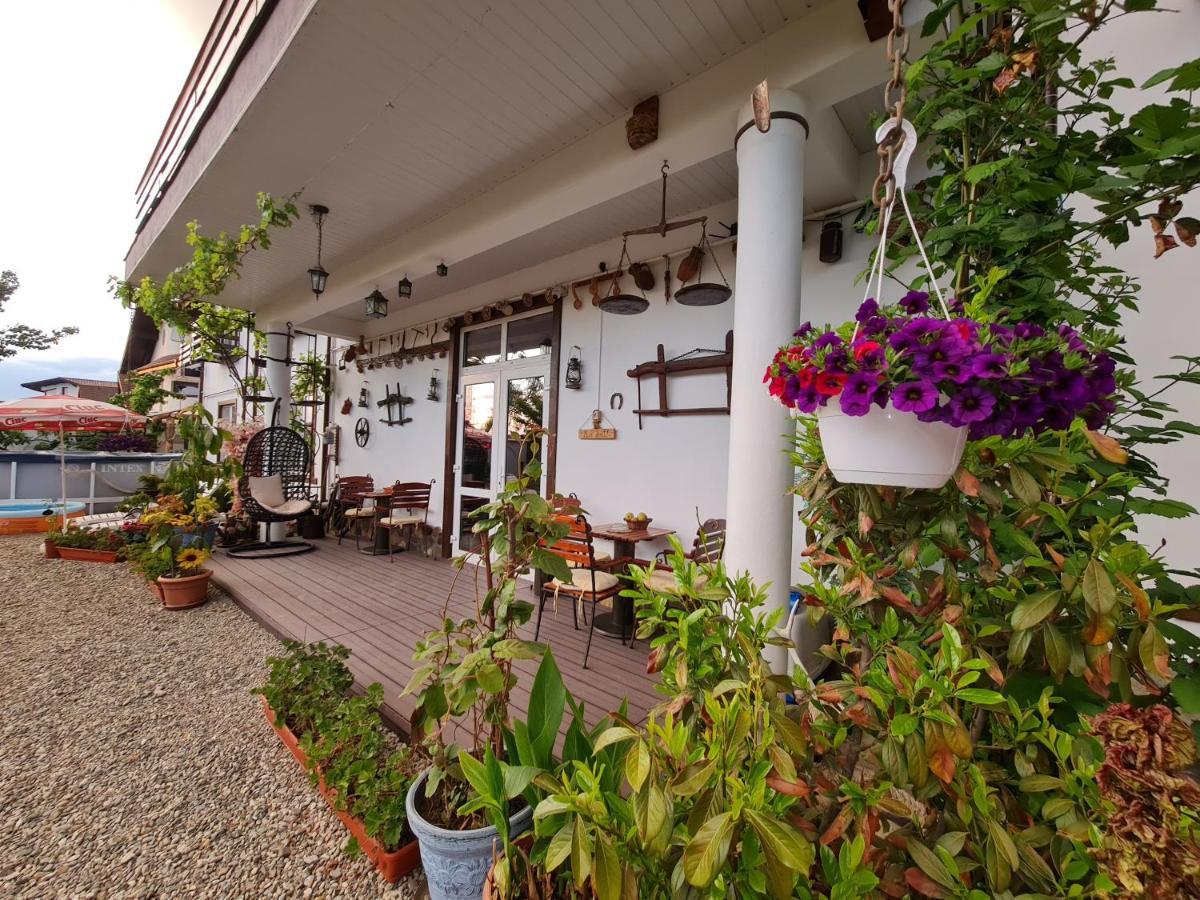 Casa Aryan Apartment Sanpetru Bagian luar foto